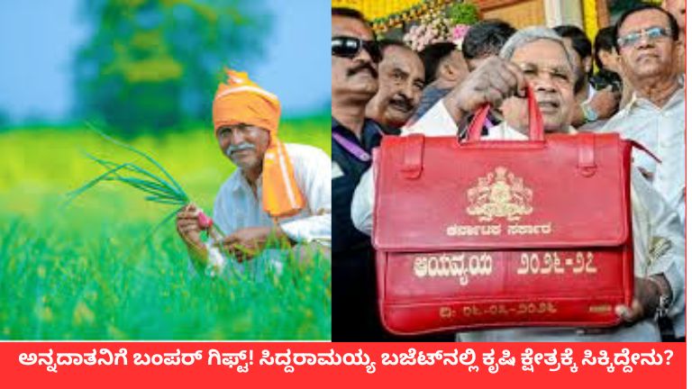 ಅನ್ನದಾತನಿಗೆ ಬಂಪರ್ ಗಿಫ್ಟ್! ಸಿದ್ದರಾಮಯ್ಯ ಬಜೆಟ್‌ನಲ್ಲಿ ಕೃಷಿ ಕ್ಷೇತ್ರಕ್ಕೆ ಸಿಕ್ಕಿದ್ದೇನು?